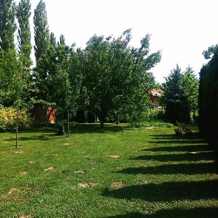 Benaja Swiss Nyaralohaz Villa Кестели Екстериор снимка
